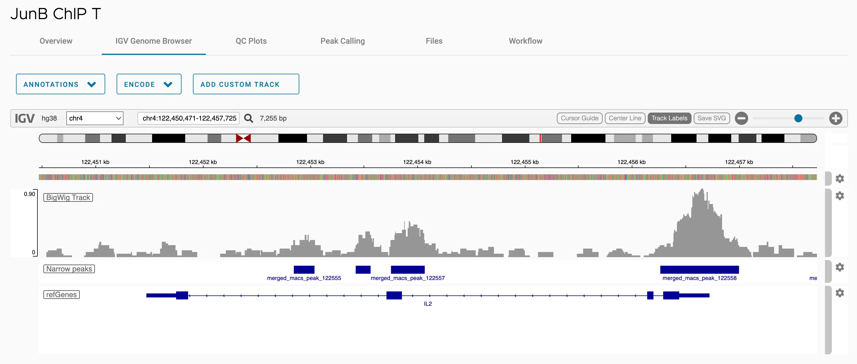 Inspect bigWig ChIP coverage and peaks in IGV