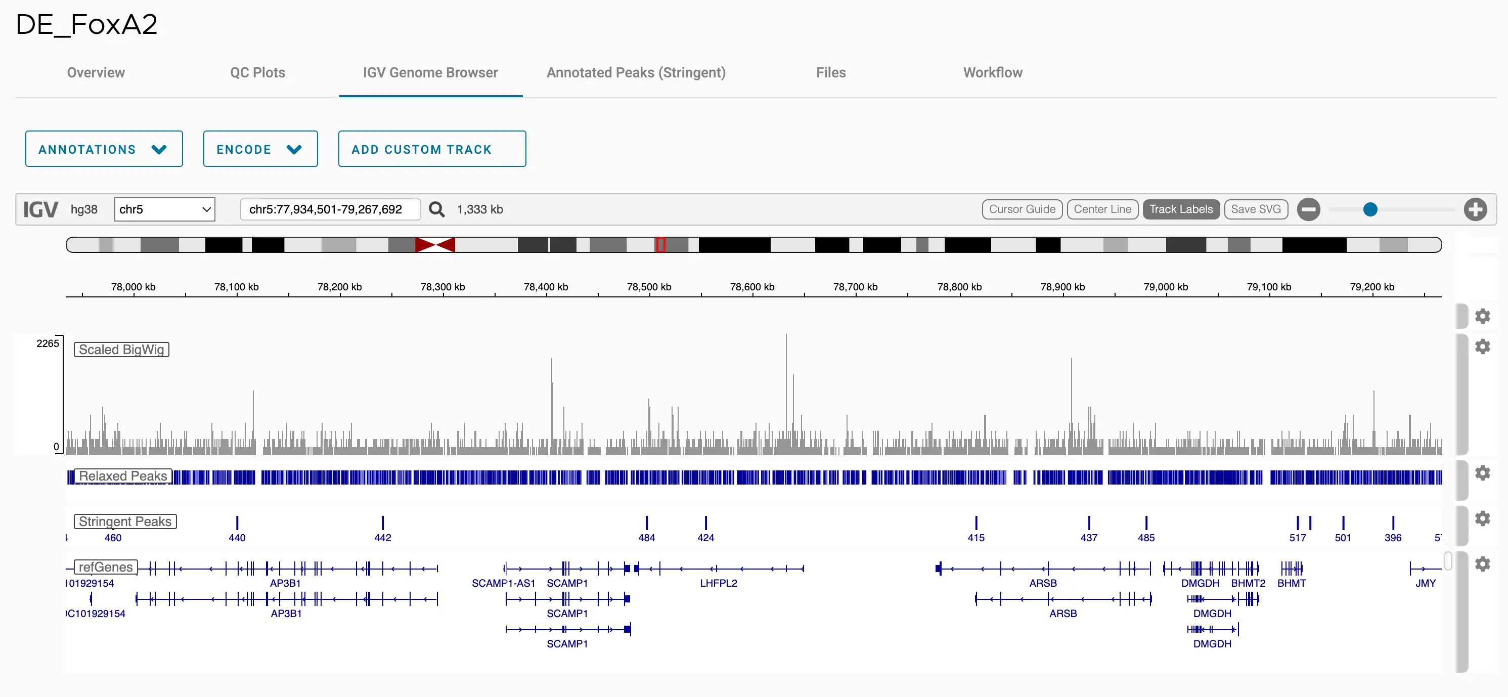 Inspect bigWig coverage and peaks in IGV