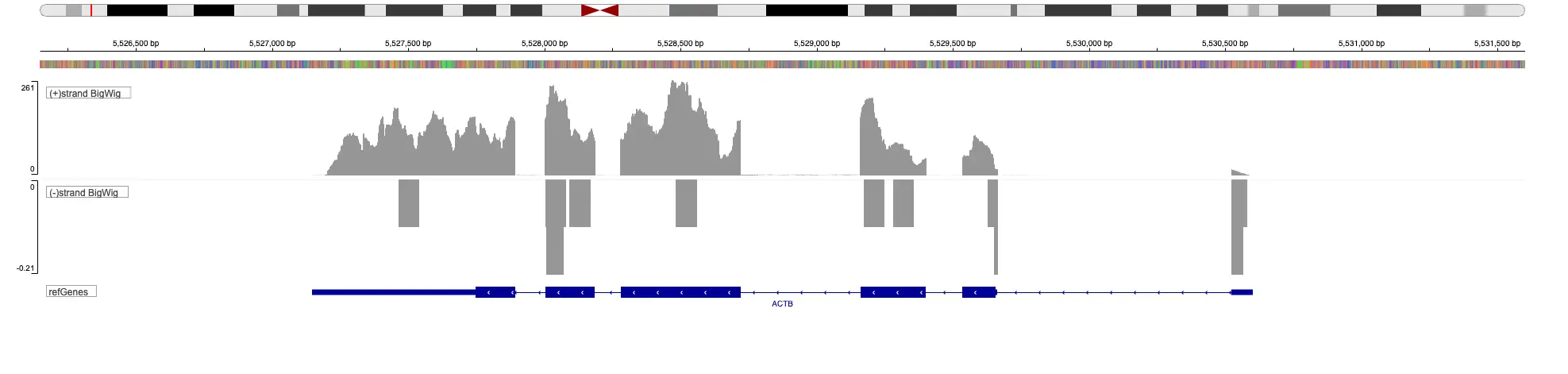 align reads to reference genome with Bismark bisulfite mapper which uses bowtie