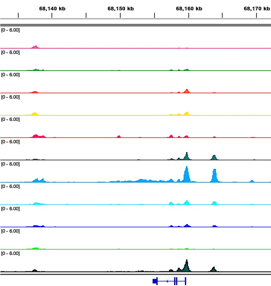 Differential accessibility analysis for pseudobulks